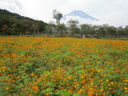 山梨県南都留郡山中湖村