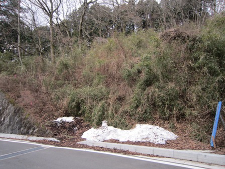 神奈川県南足柄市