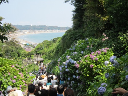 神奈川県鎌倉市