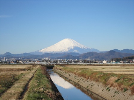 2013年　謹賀新年