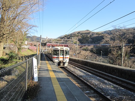 神奈川県足柄上郡山北町大野山山頂