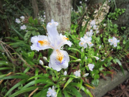 神奈川県足柄上郡山北町高松山山頂