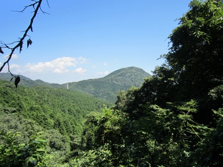 神奈川県南足柄市矢倉岳山頂