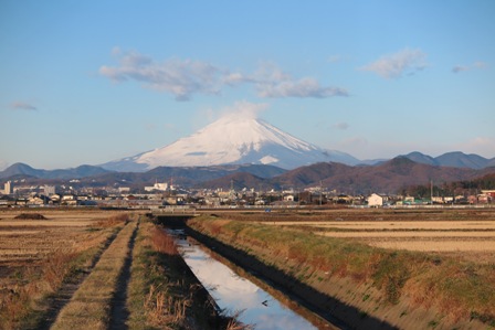 2015年　謹賀新年