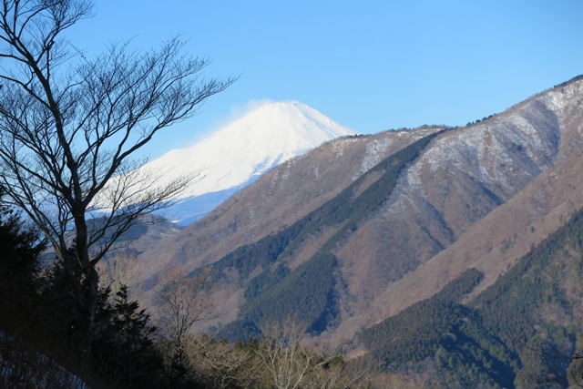 神奈川県足柄上郡松田町櫟山(クヌギヤマ)山頂