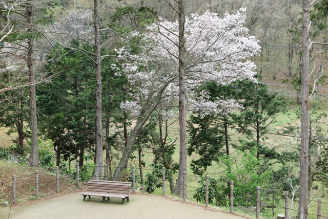 神奈川県伊勢原市塔の山山頂