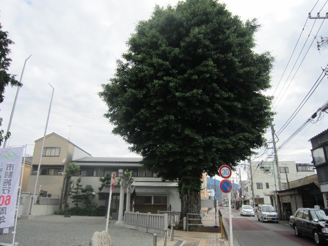 神奈川県秦野市頭高山山頂