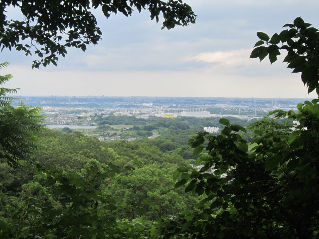 神奈川県厚木市七沢森林公園