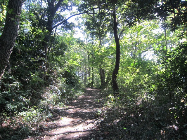 神奈川県横浜市旭区