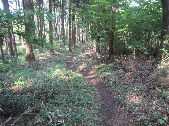 神奈川県相模原市緑区南山山頂