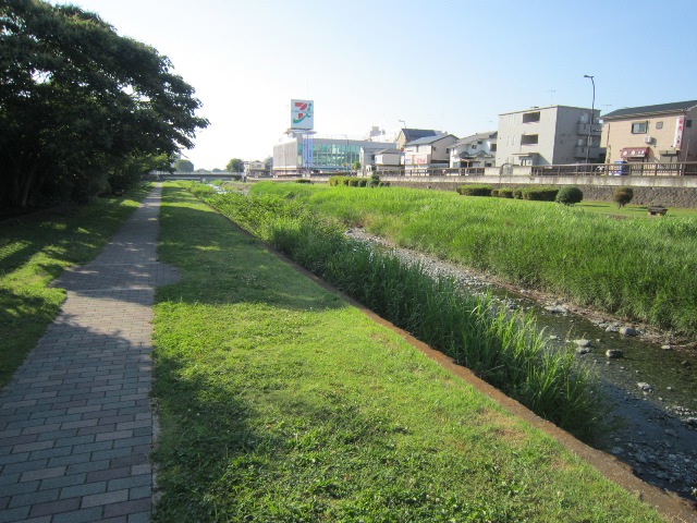 神奈川県秦野市権現山