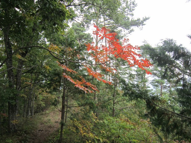 山梨県大月市馬立山山頂