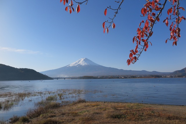 2016年河口湖紅葉祭り