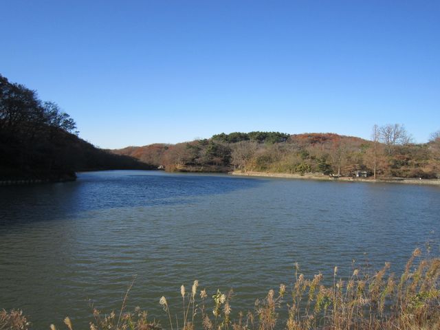 2016年山と無線フェスティバル