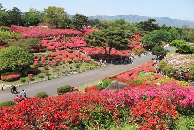 静岡県伊東市小室山山頂