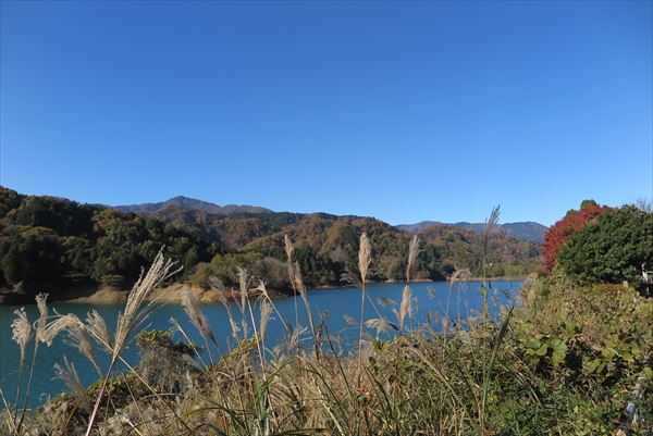 神奈川県愛甲郡愛川町仏果山