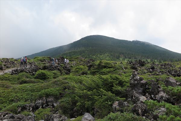 長野県茅野市縞枯山